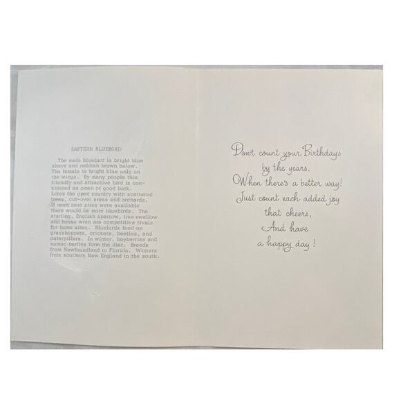 Lot 3 Vtg MCM Birthday Card USA 1970s Embossed Cardinal Bird Winged Classic - Picture 9 of 15